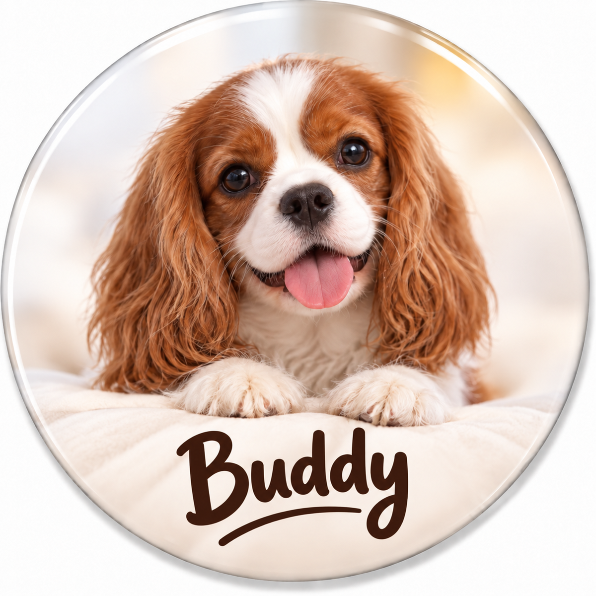 PET PHOTO & NAME
